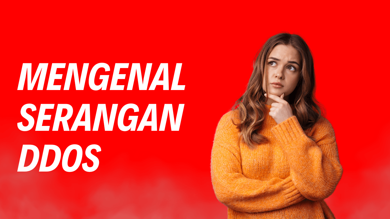Serangan DDoS dan Dampaknya pada Bisnis Online